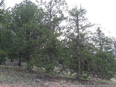 Land/Lot.