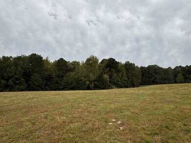 000 Lee Cove, Bryant, AR 72103 - photo 2