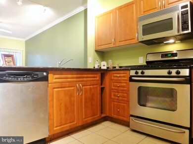 Bryson At Woodland Park unit 106, Herndon, VA 20171 - photo 4