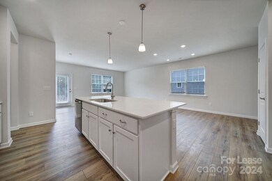 117 Olive Tea Ln, Statesville, NC 28625 - photo 4