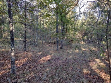 0 Arrowhead Rd, Mountain View, AR 72560 - photo 4