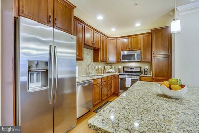 43087 Thoroughfare Gap Terrace, Ashburn, VA 20148 - photo 4