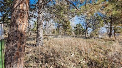 TBD Cascade Dr, Grand Junction, CO 81506 - photo 4