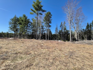7 view from cabin