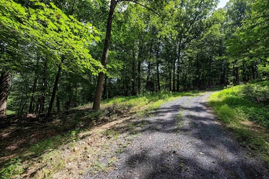 Tbd Brunk Spring Ln, Broadway, VA 22815 - photo 4