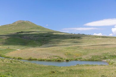 0 Little Rose Ln unit 9A & 9B 42727, Ridgway, CO 81432 - photo 4