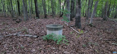 0 Doctors Rd unit 631009, Louisa, VA 23093 - photo 2