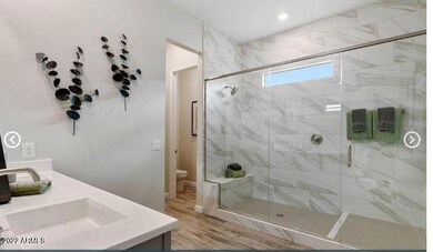 Bluebird Main Bath Shower