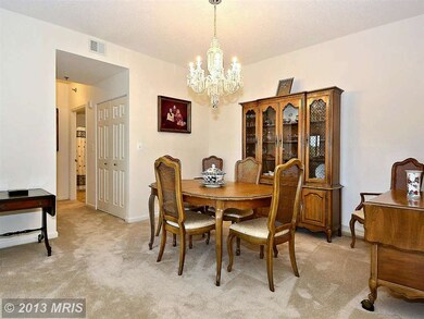 3005 Leisure World Blvd S unit 508, Silver Spring, MD 20906 - photo 5