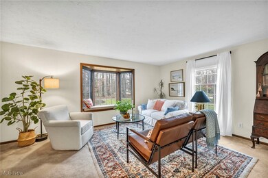 7867 S Riverside Dr, Aurora, OH 44202 - photo 6