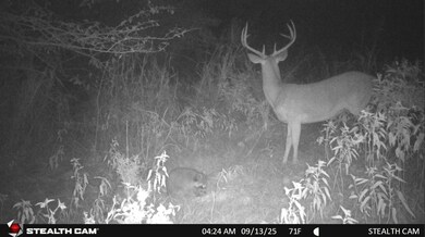 Highway 31, Coalgate, OK 74538 - photo 4