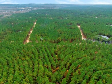 17 Hochacedar Trail, Broken Bow, OK 74728 - photo 5