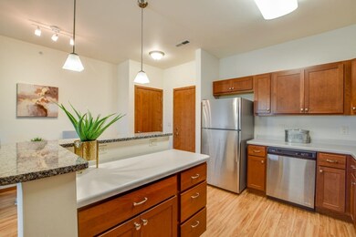 5194 Sassafras Dr unit 203, Fitchburg, WI 53711 - photo 7