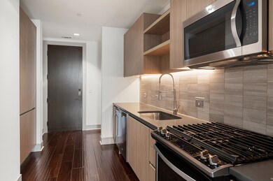 Luxury Model Unit