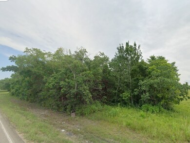 TBD County Road 128, Pearland, TX 77511 - photo 3