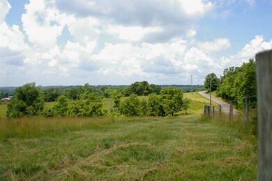 1 Alhambra Rd unit 3, Mount Olivet, KY 41064 - photo 7