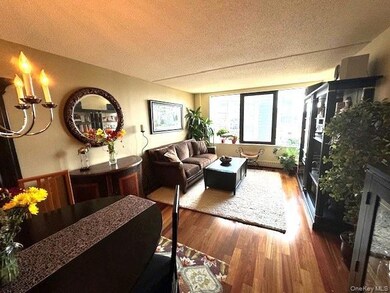 The Seasons Condominium unit 1402, White Plains, NY 10606 - photo 3