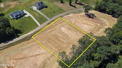 Lot 8 - Boundary Lines