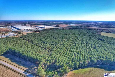 TBD W Highway 34, Dillon, SC 29536 - photo 4