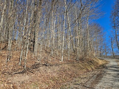 Lot 13 Cherry Grove Rd, Slaty Fork, WV 26291 - photo 5
