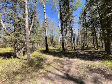 TBD Necktie Loop, Lake George, MN 56458 - photo 3