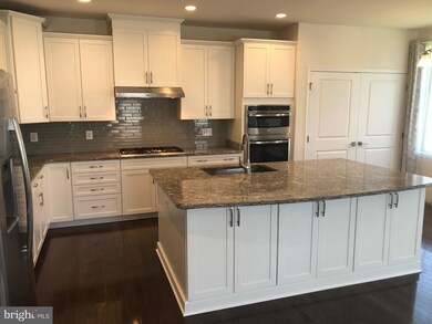 25020 Cambridge Hill Terrace, Chantilly, VA 20152 - photo 2