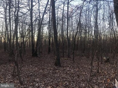 0 Thorny Grove Rd, Southampton Township, PA 17257 - photo 4