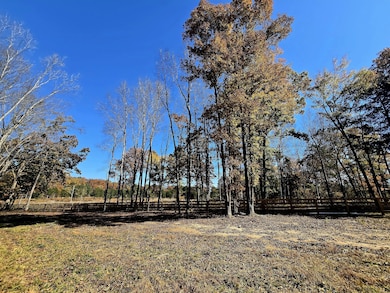 4821 Kedron Rd, Spring Hill, TN 37174 - photo 7