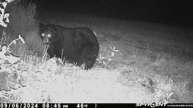 E21504 Karow Rd, Augusta, WI 54722 - photo 3