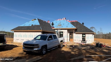 1134 Crews Ln, Crystal Springs, MS 39059 - photo 2