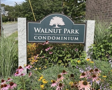 113 Walnut St unit 4, Stoughton, MA 02072 - photo 2