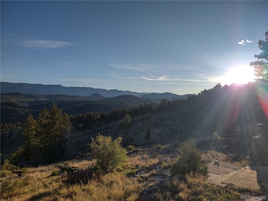 33888 Mineral Ln, Pine, CO 80470 - photo 2