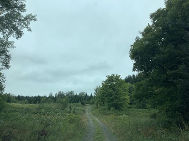 3 Abel Cyr Rd, Hamlin, ME 04785 - photo 7