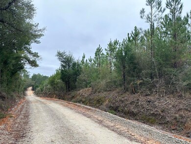 Tract#6418 Bryant Bay Rd, Caryville, FL 32427 - photo 4