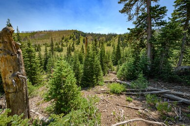 0 Lot 29 Aspen Mdws Se Neighbor unit 112451, Brian Head, UT 84719 - photo 7