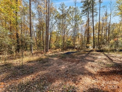 304 Winding Creek Dr, Morganton, NC 28655 - photo 3