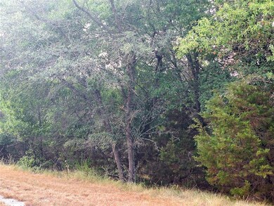 41065 Heartwood Cir, Whitney, TX 76692 - photo 2