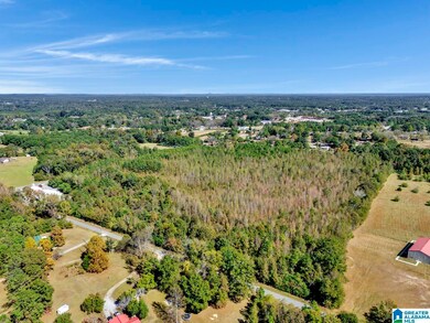 0 Hopewell Dr unit 21433405, Clanton, AL 35045 - photo 5