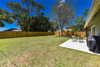 Huge Back Yard