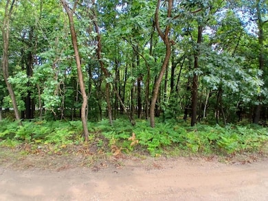 4756 N Ridge Rd, Mears, MI 49436 - photo 5