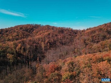 0 Poorhouse Rd unit 597813, Charlottesville, VA 22903 - photo 5