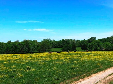 4535 Lexington Rd, Harrodsburg, KY 40330 - photo 2