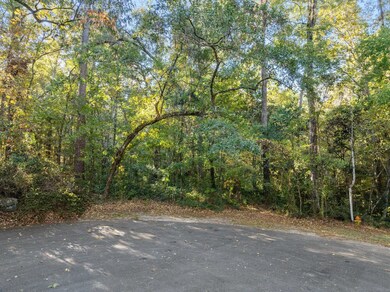 0 Live Oak Plantation Rd unit 393690, Tallahassee, FL 32312 - photo 4