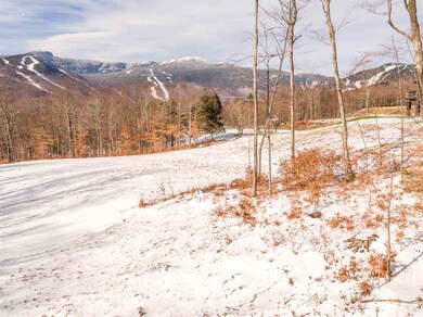 112 Thomas Pasture Rd unit 67, Stowe, VT 05672 - photo 5