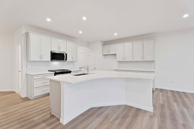 24434 W Alexis Ln unit 56400, Plainfield, IL 60585 - photo 6