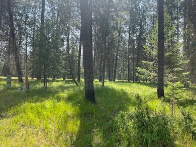 203 Eagle Dr, Chewelah, WA 99109 - photo 6