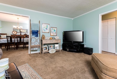 8223 Rochelle Rd, Louisville, KY 40228 - photo 7