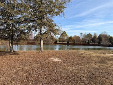 290 Hicks Rd, Dothan, AL 36303 - photo 5