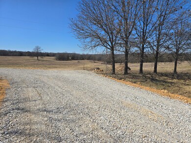 Tbd Highway 72, Salem, MO 65560 - photo 5