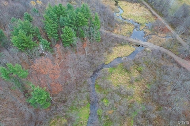 317 Cummings Rd, Pulaski, NY 13142 - photo 2